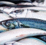 790 кг рыбной продукции сняли с продажи в Тульской области - Арсеньевские Вести