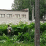 В Астаповском поселение продолжается борьба с опасным вредителем - Арсеньевские Вести